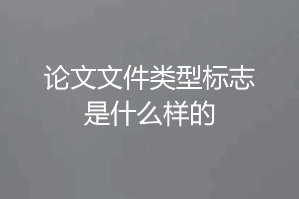 论文文件类型标志是什么样的