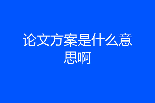 论文方案是什么意思啊