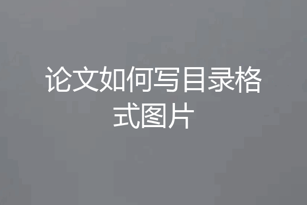论文如何写目录格式图片