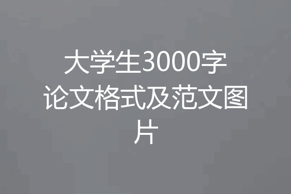大学生3000字论文格式及范文图片