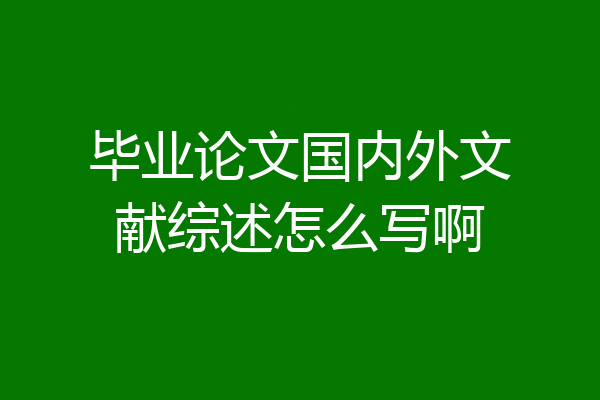 毕业论文国内外文献综述怎么写啊