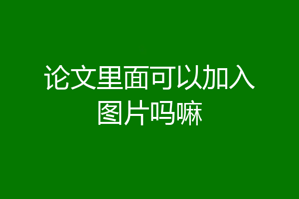 论文里面可以加入图片吗嘛