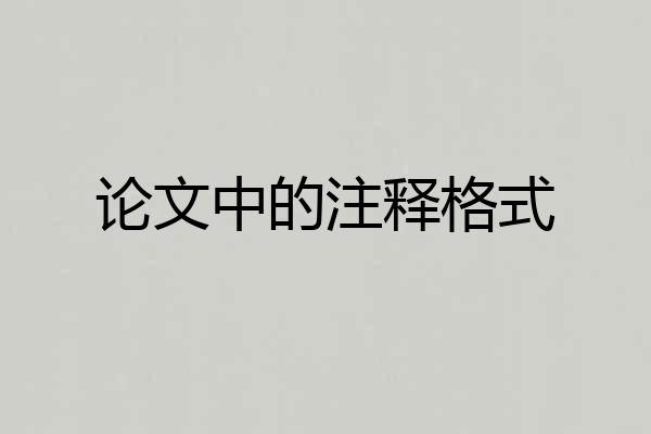 论文中的注释格式