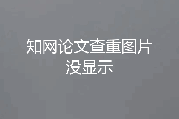 知网论文查重图片没显示