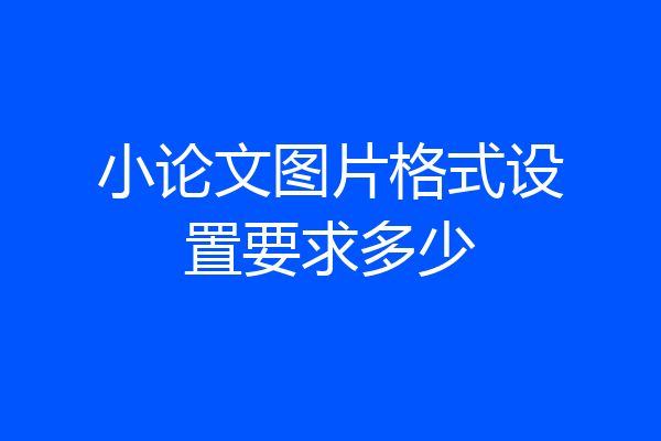 小论文图片格式设置要求多少