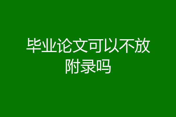 毕业论文可以不放附录吗