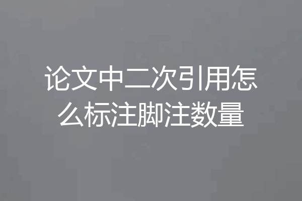 论文中二次引用怎么标注脚注数量