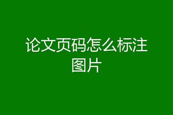 论文页码怎么标注图片