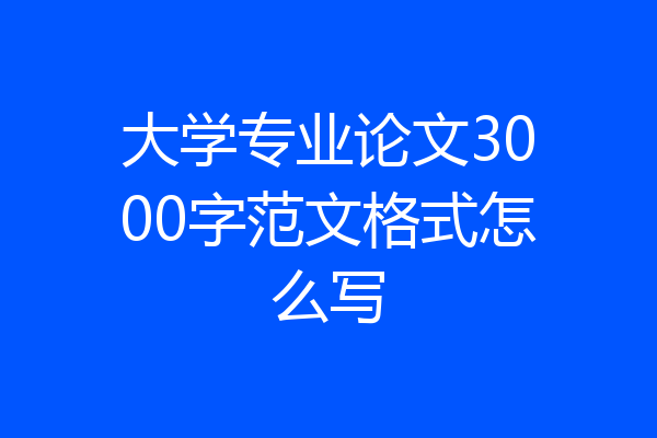 大学专业论文3000字范文格式怎么写