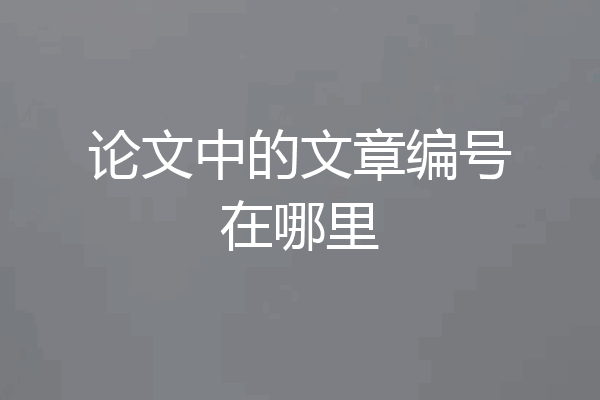 论文中的文章编号在哪里