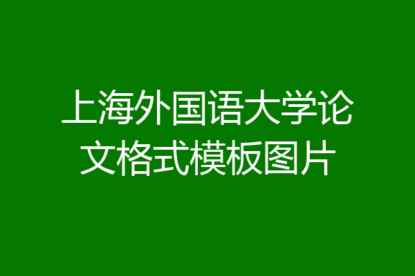 上海外国语大学论文格式模板图片