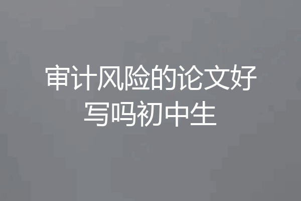 审计风险的论文好写吗初中生