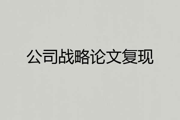 公司战略论文复现
