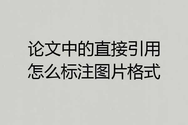 论文中的直接引用怎么标注图片格式