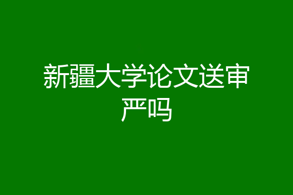 新疆大学论文送审严吗