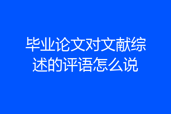 毕业论文对文献综述的评语怎么说