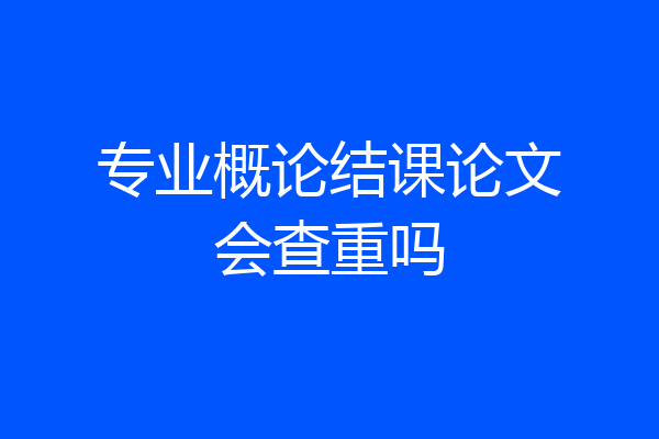 专业概论结课论文会查重吗