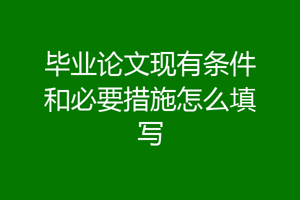 毕业论文现有条件和必要措施怎么填写