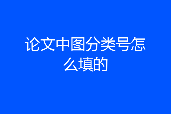 论文中图分类号怎么填的