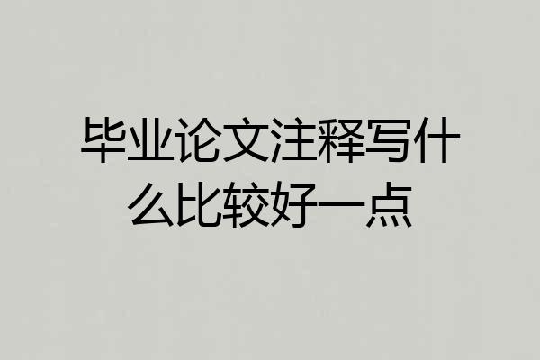 毕业论文注释写什么比较好一点