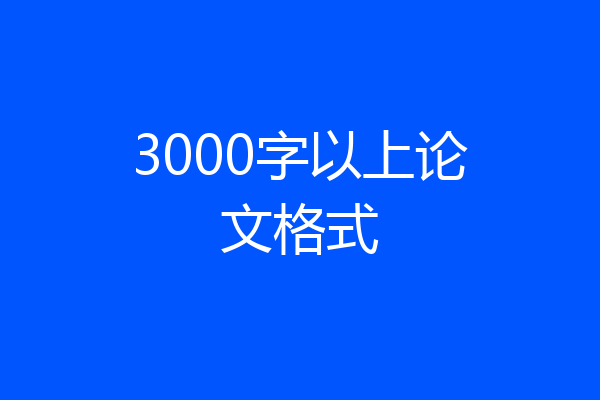 3000字以上论文格式