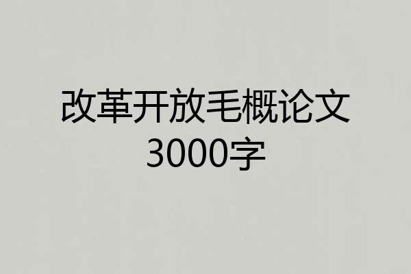 改革开放毛概论文3000字