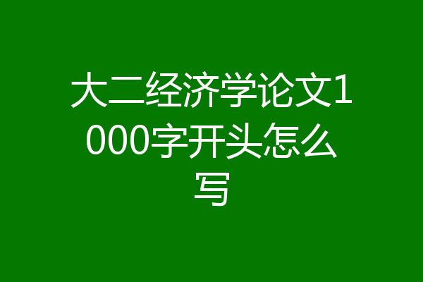 大二经济学论文1000字开头怎么写