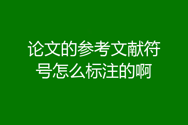 论文的参考文献符号怎么标注的啊