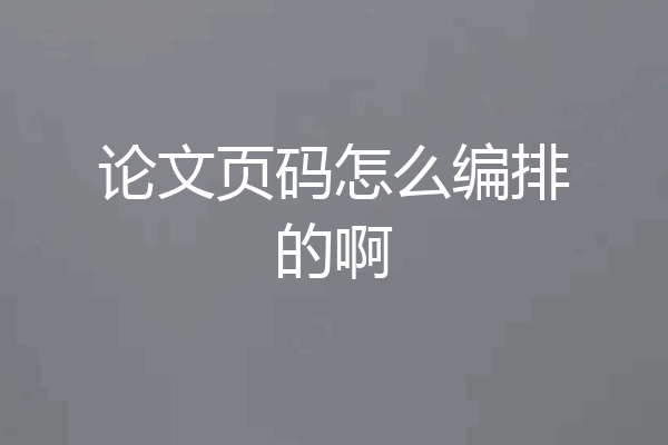 论文页码怎么编排的啊