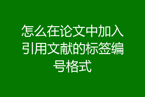 怎么在论文中加入引用文献的标签编号格式