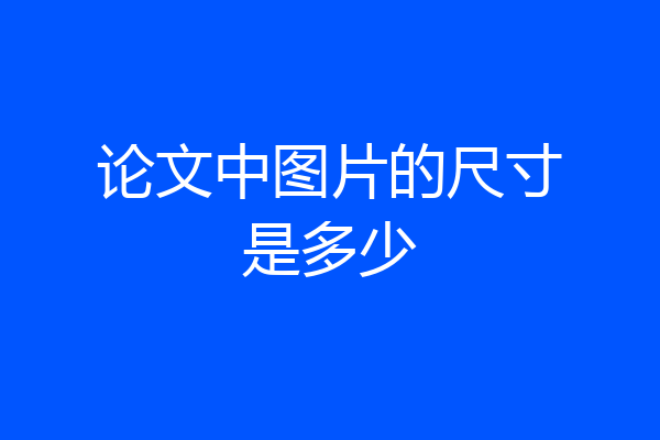 论文中图片的尺寸是多少
