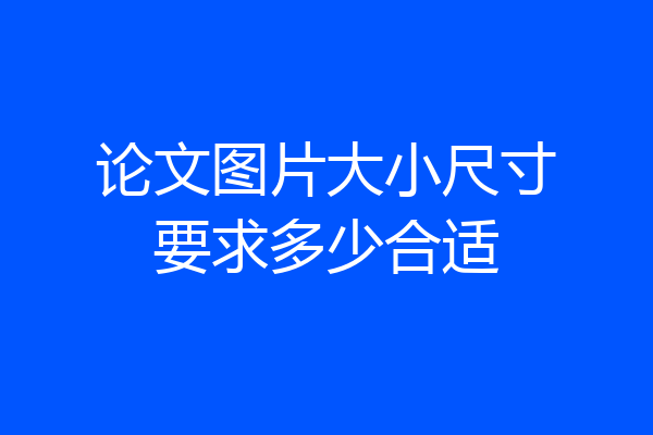 论文图片大小尺寸要求多少合适