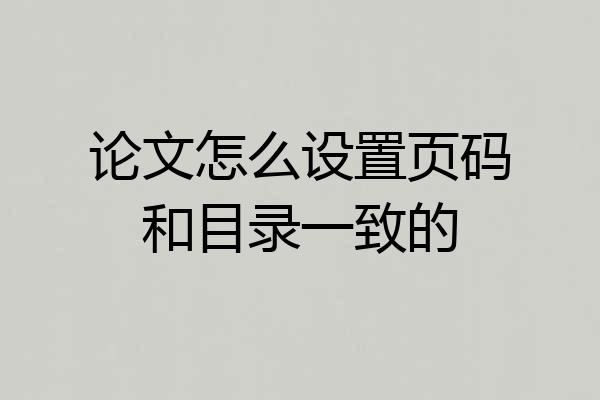 论文怎么设置页码和目录一致的