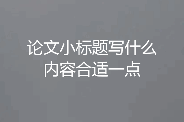 论文小标题写什么内容合适一点