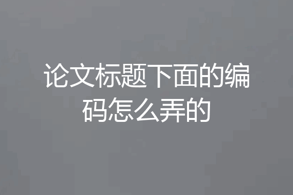 论文标题下面的编码怎么弄的