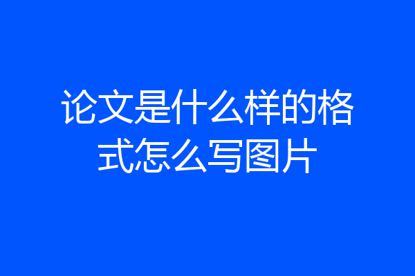 论文是什么样的格式怎么写图片