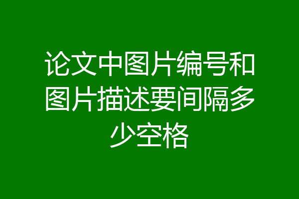 论文中图片编号和图片描述要间隔多少空格