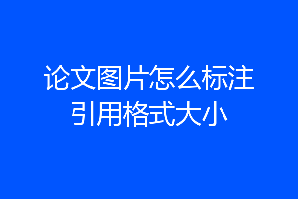 论文图片怎么标注引用格式大小