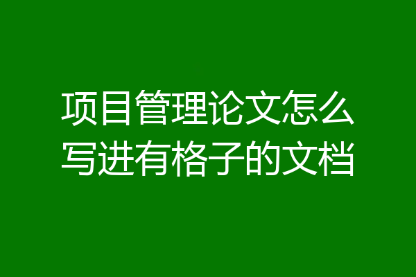项目管理论文怎么写进有格子的文档