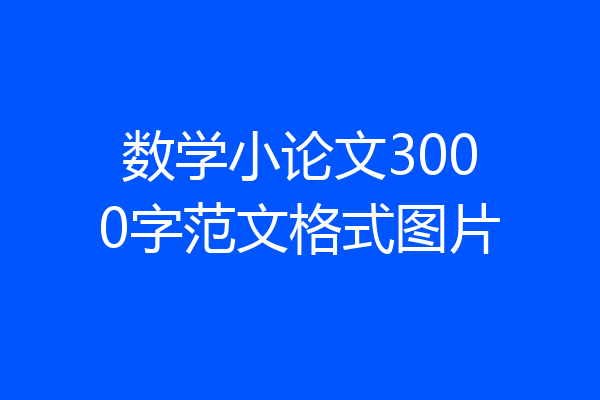 数学小论文3000字范文格式图片