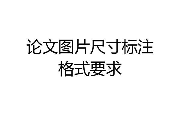 论文图片尺寸标注格式要求