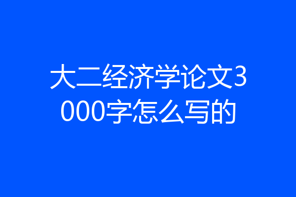 大二经济学论文3000字怎么写的