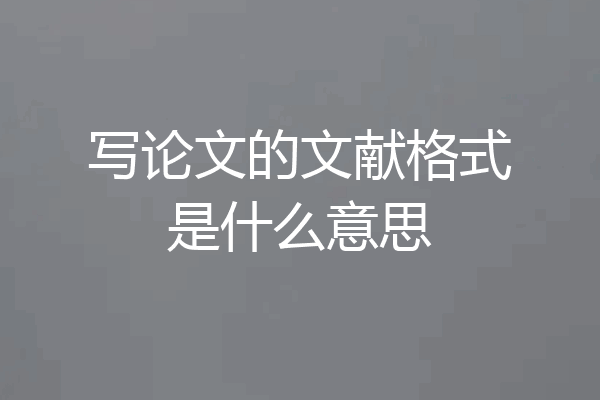 写论文的文献格式是什么意思