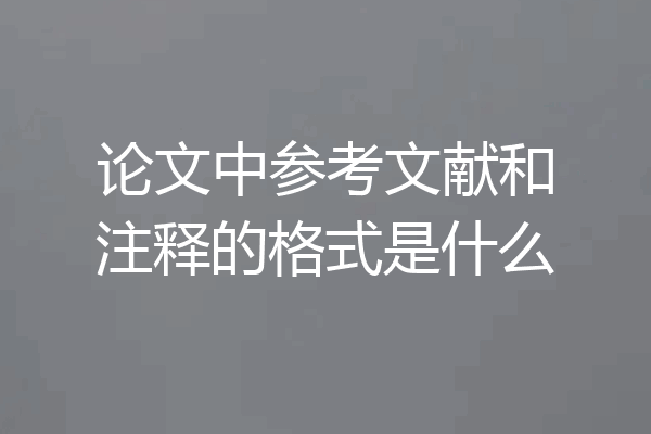 论文中参考文献和注释的格式是什么