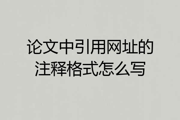 论文中引用网址的注释格式怎么写