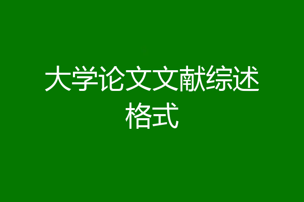 大学论文文献综述格式