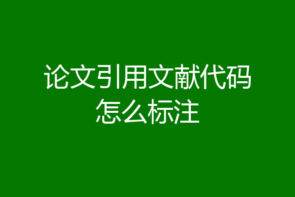 论文引用文献代码怎么标注