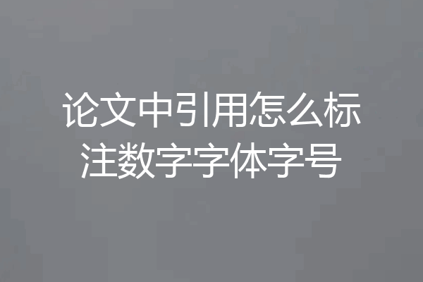 论文中引用怎么标注数字字体字号