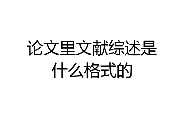 论文里文献综述是什么格式的