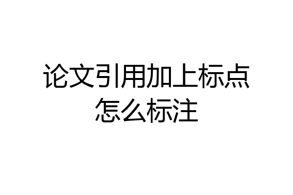 论文引用加上标点怎么标注